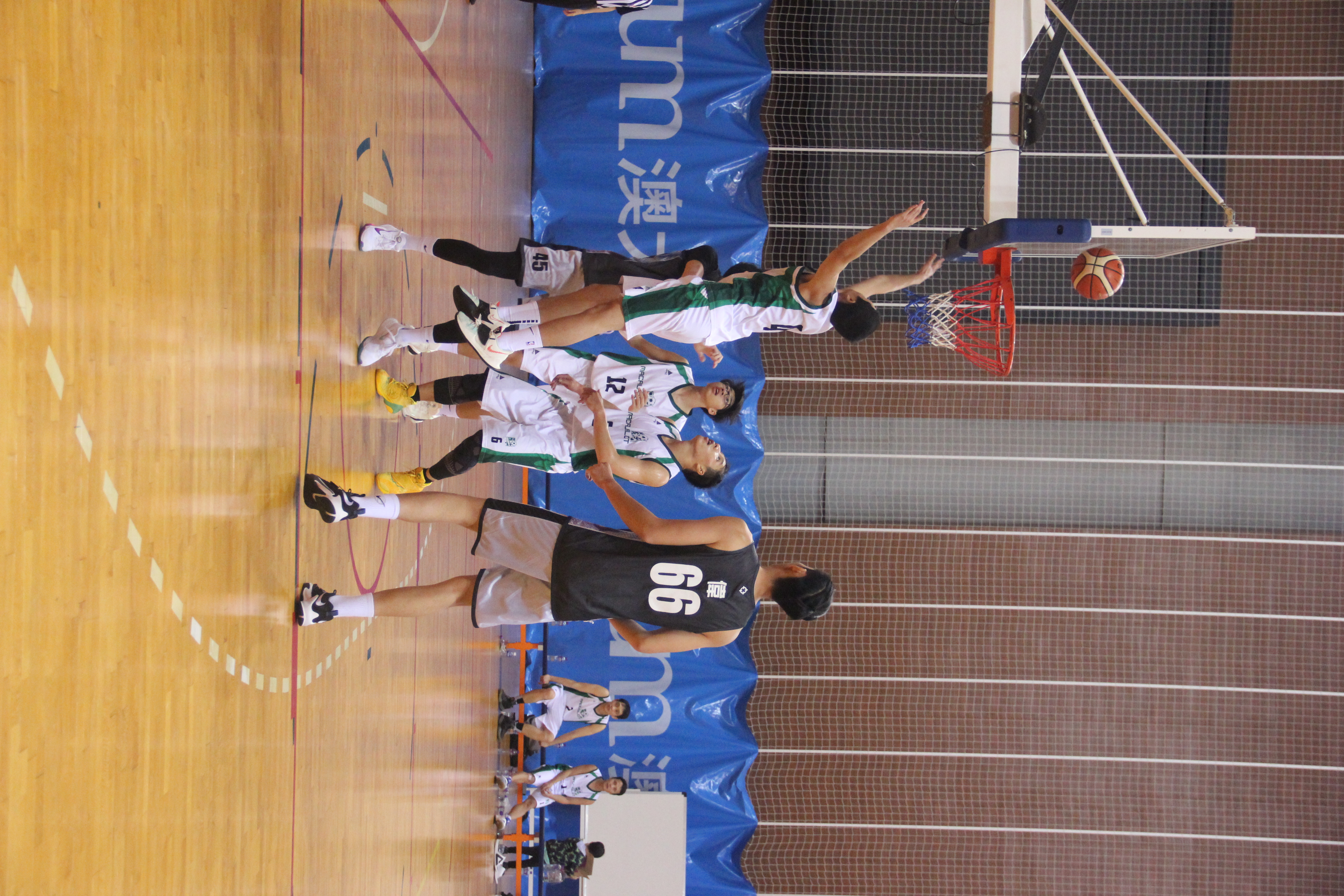 IMG_6622