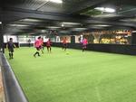 IMG_1950